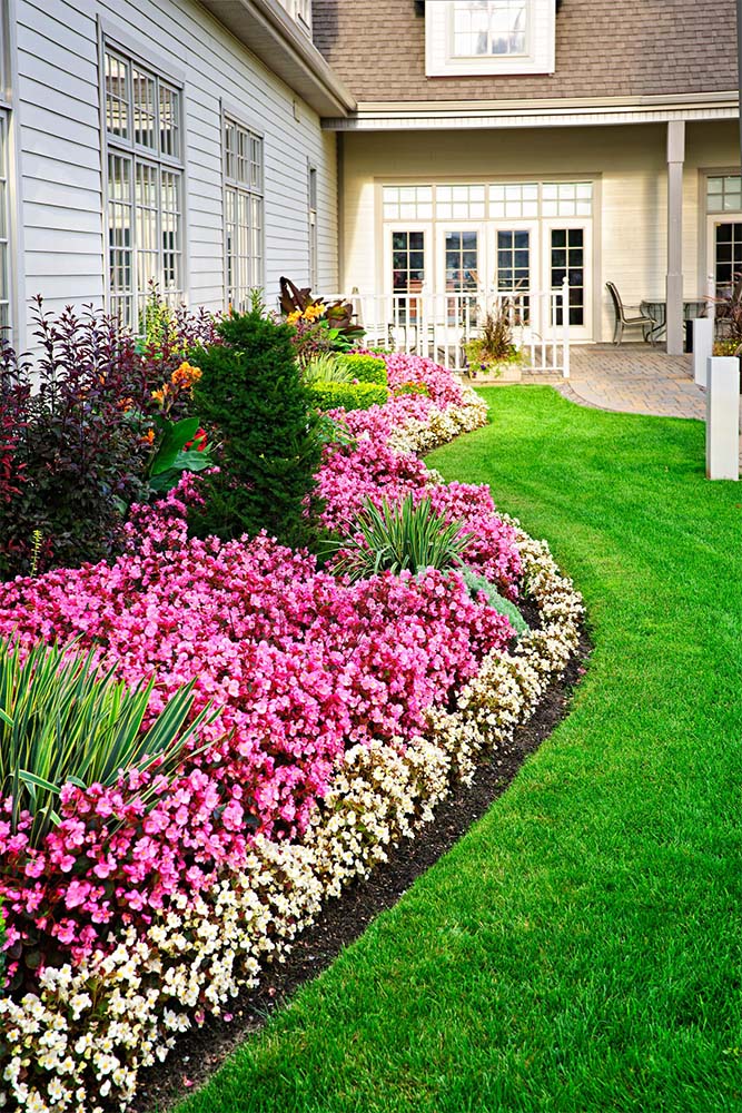healthy landscaping and plants protected during professional soft wash roof treatment