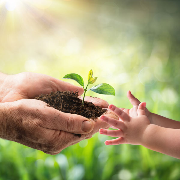 Old Man Giving Young Plant To A Child