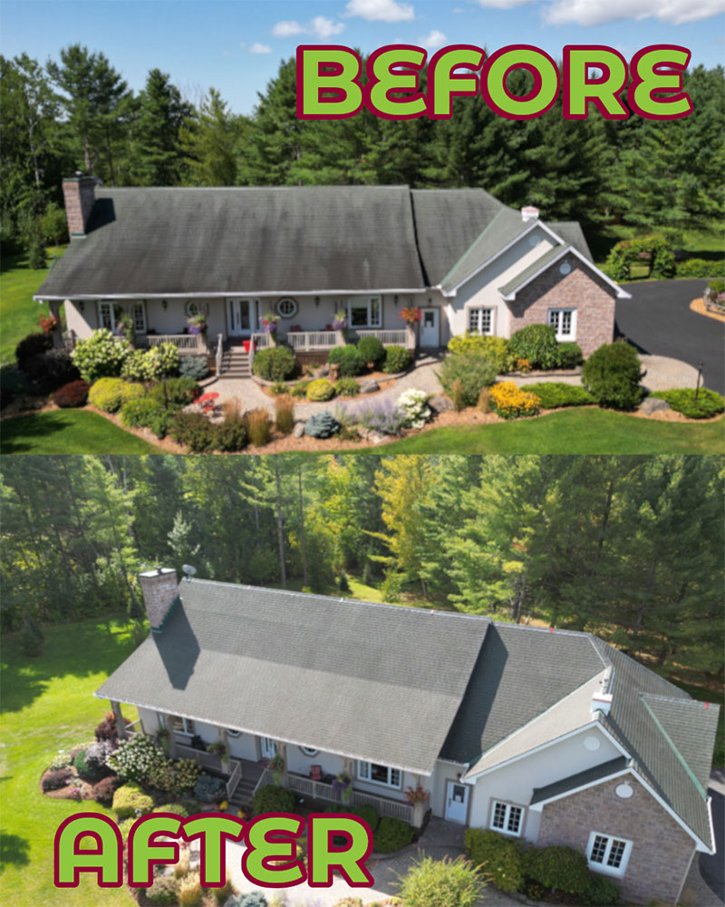 Before-After Algae Cleaning_Soubliere